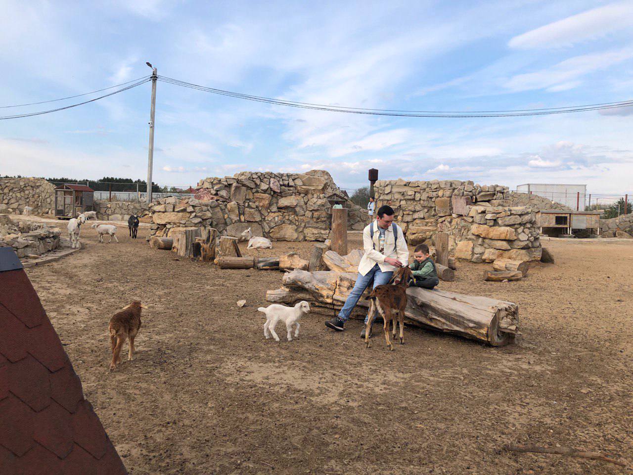 Самый большой список из 60 экоферм и контактных зоопарков в Москве и Подмосковье